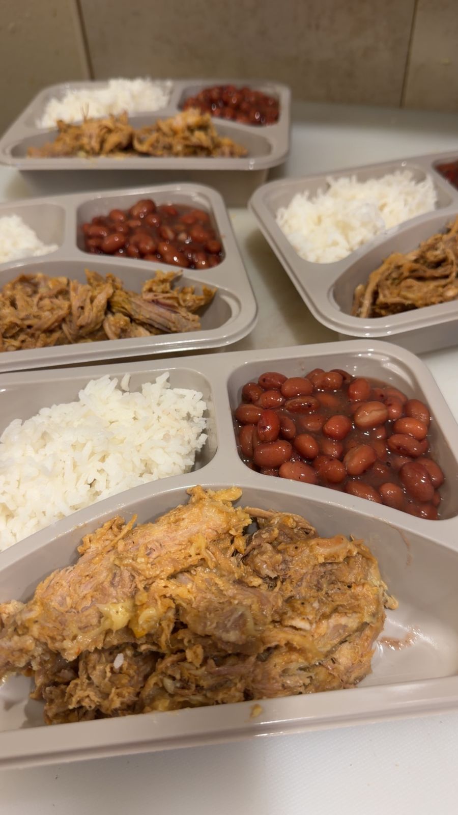 A range of prepared meals ready for delivery